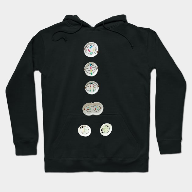 Mitosis Simplified Hoodie by labstud